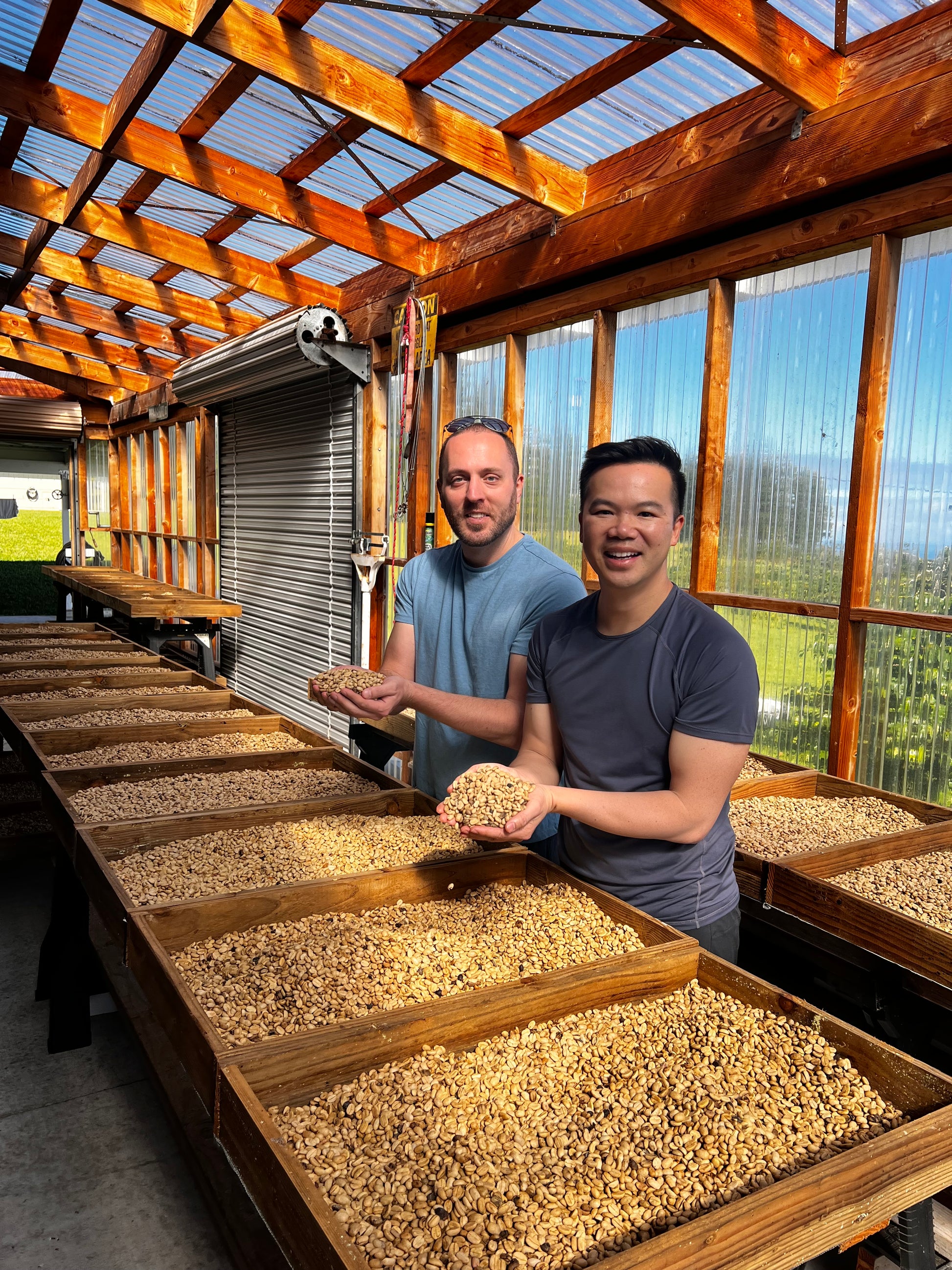 Farm tourist posing with coffee parchment