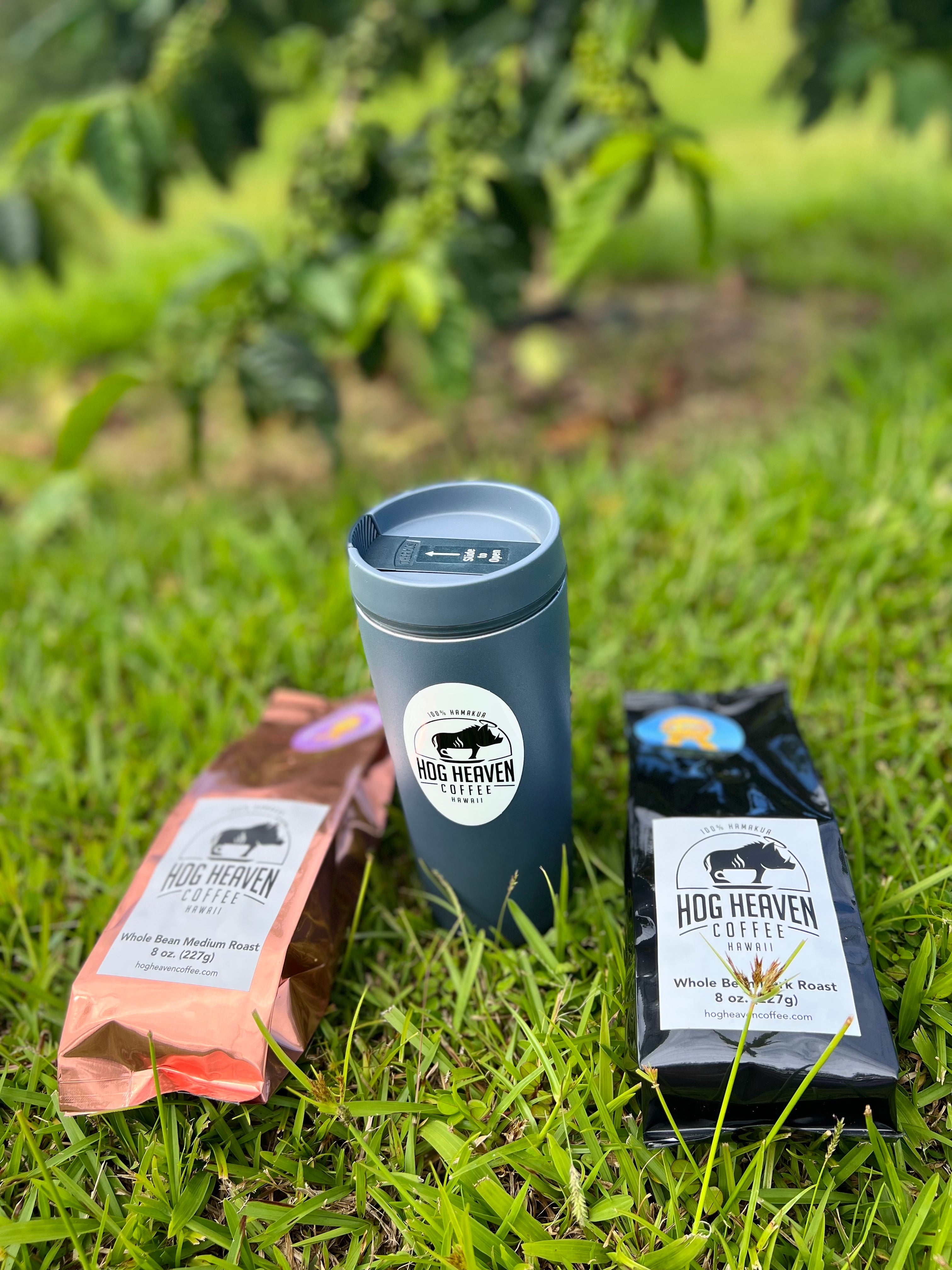 coffee mug between packaged coffees in front of coffee tree