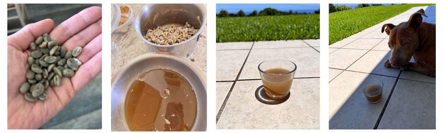 Green Coffee-Roast Your Own