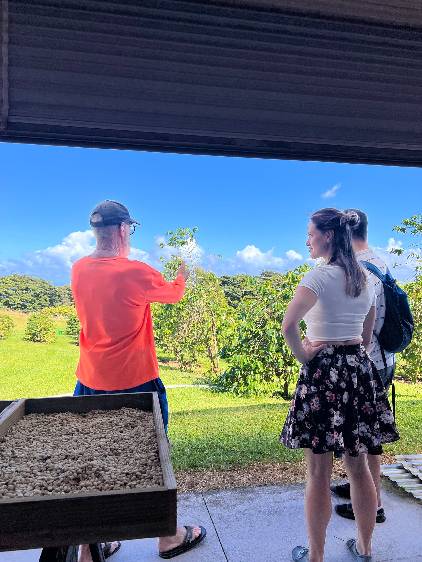 Coffee Farm Tour