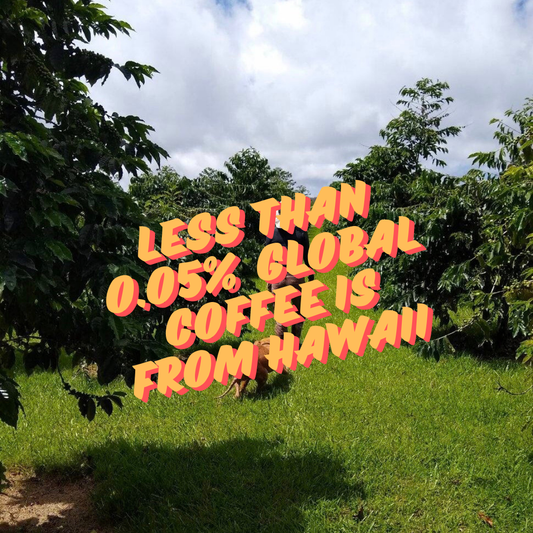 rarity of hawaii coffee