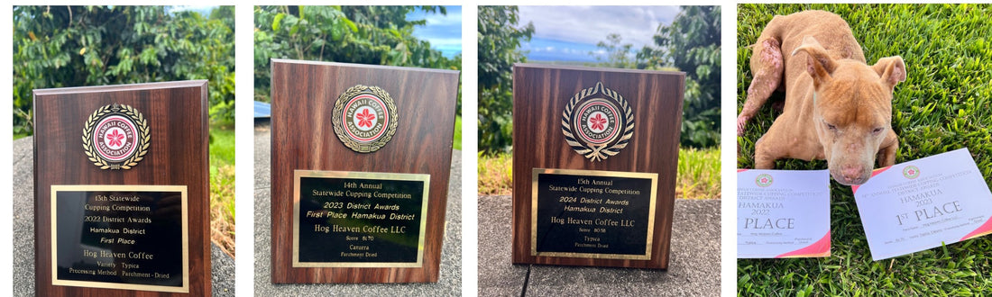 pic of first place plaque for years 2022, 2023 and 2024