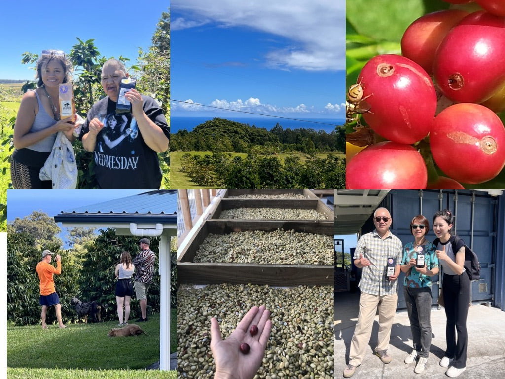 pics of coffee farm tour