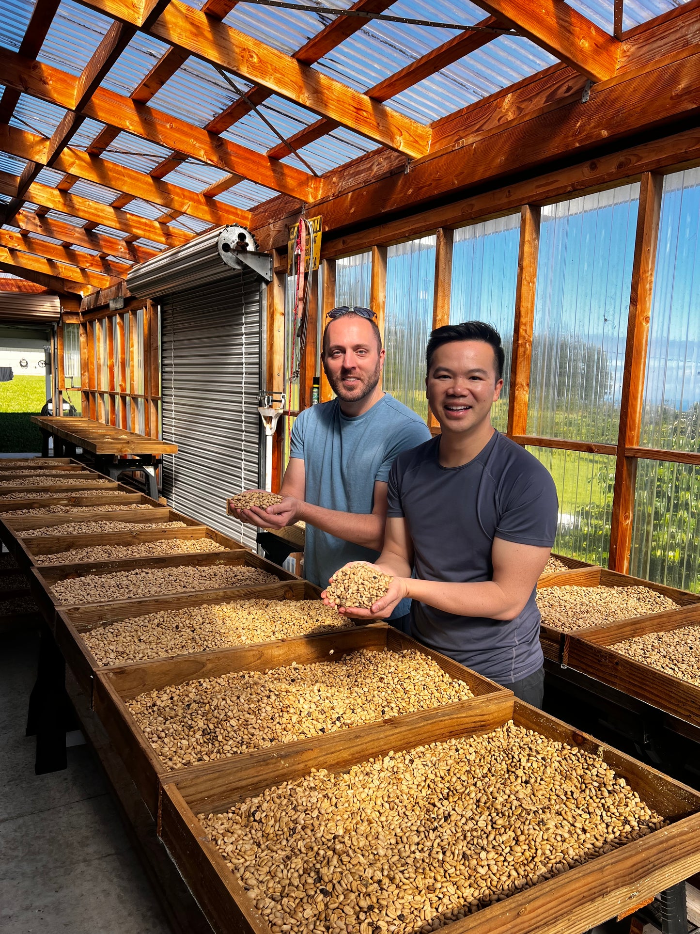 Farm tourist posing with coffee parchment 