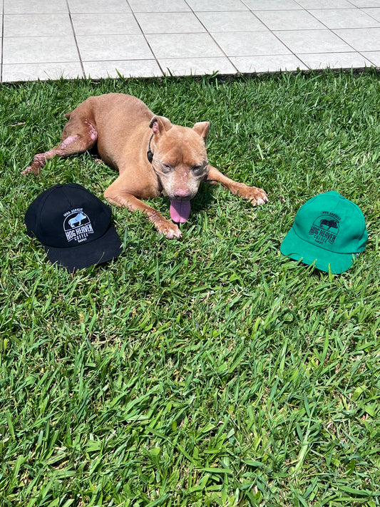 Two baseball caps, one black and one green, with the Hog Heaven Coffee logo on the front, displayed on green grass with a dog lying beside them.