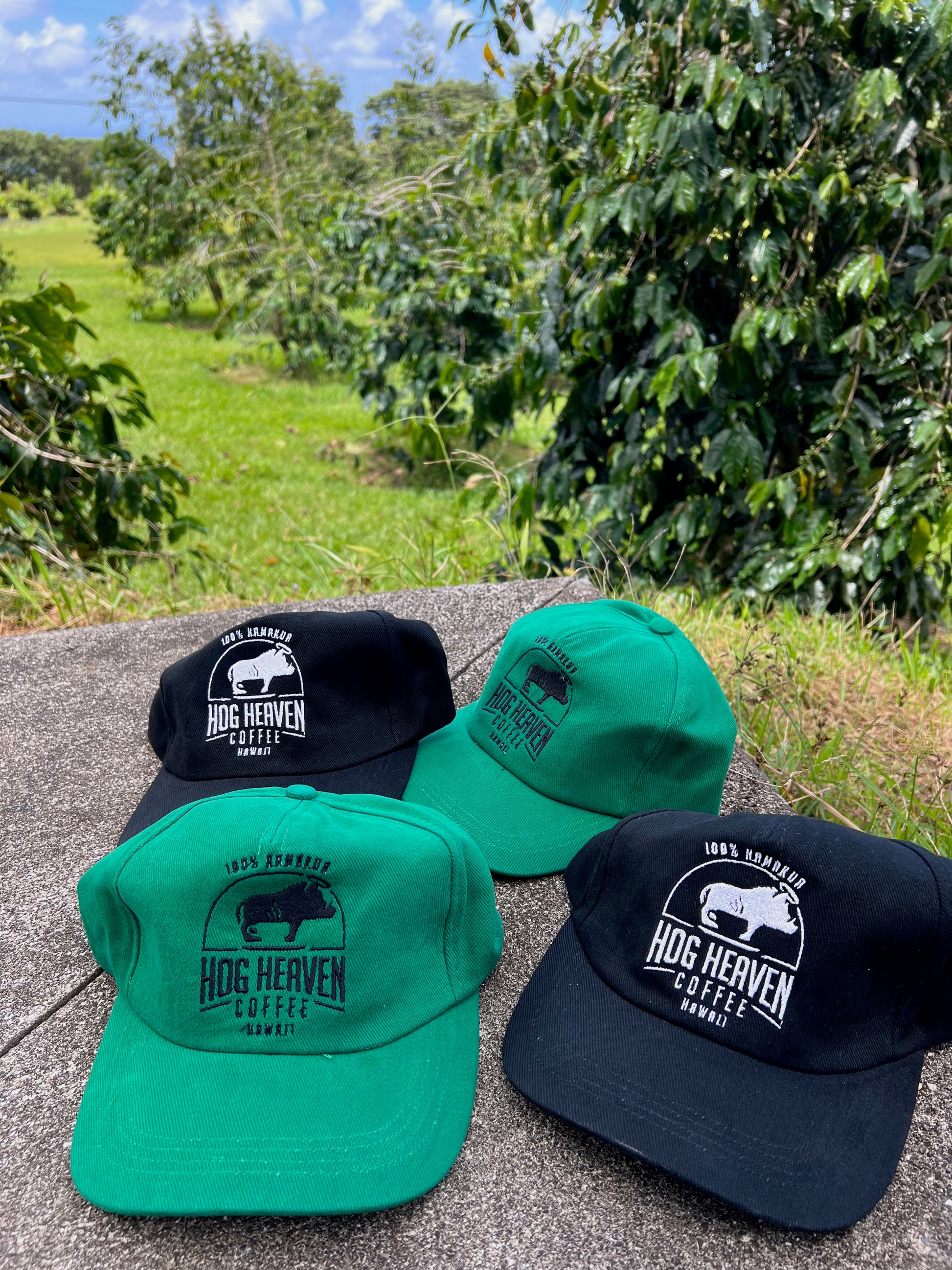 green and black color hog heaven coffee hats next to coffee trees